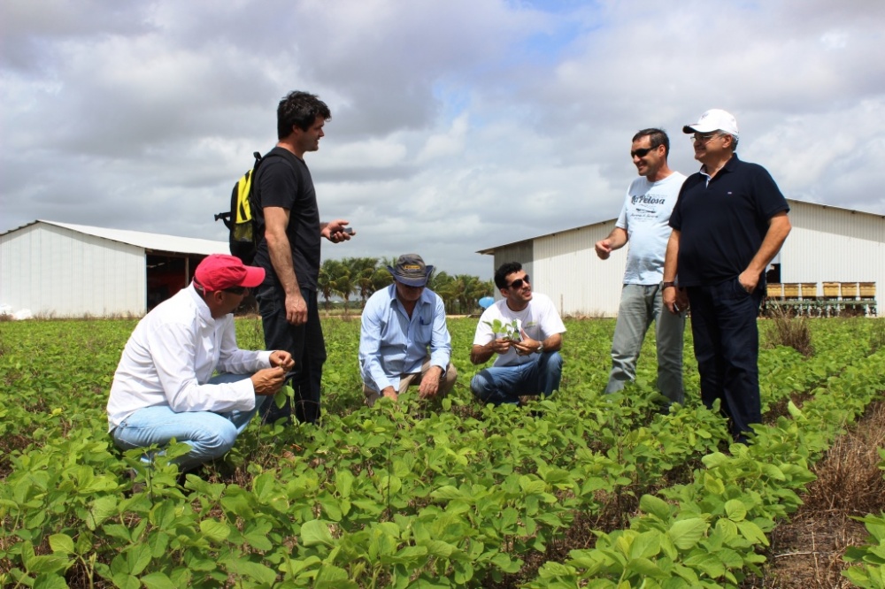 Equipe de técnicos e jornalistas da Expedição visita lavouras em Boa Vista com produtores locais. | Giovani Ferreira / Gazeta Do Povo