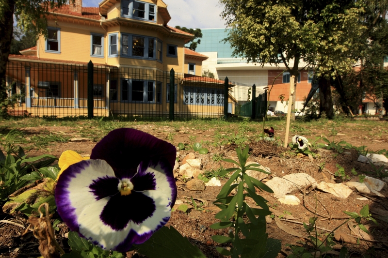 Entorno da Casa Gomm será preservado, inclusive com acesso restrito na área de mata fechada. | Ivonaldo Alexandre/ Gazeta do Povo