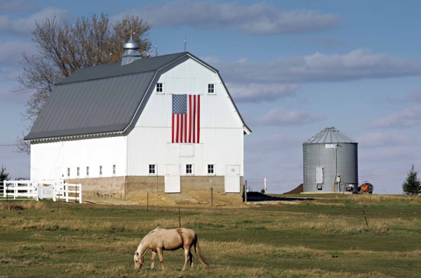 | Christian Rizzi/gazeta Do Povo