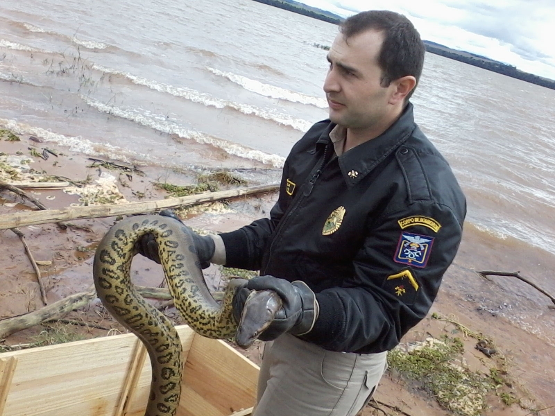 | Divulgação/ Corpo de Bombeiros
