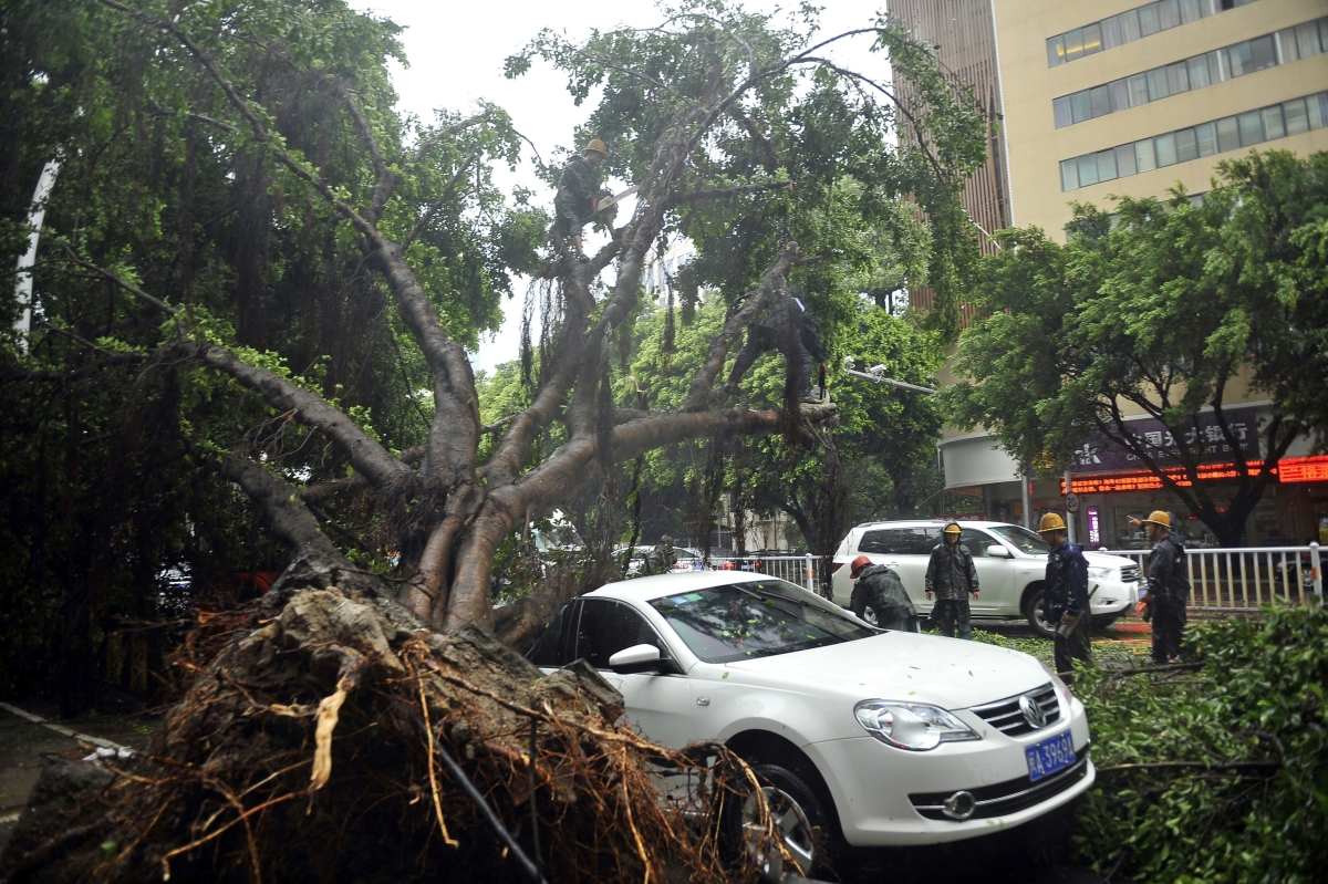 Carro foi destruído por árvore que caiu em decorrência dos ventos do tufão Rammasun em Fuzhou, cidade da província de Fujian | EFE/Liu Tao