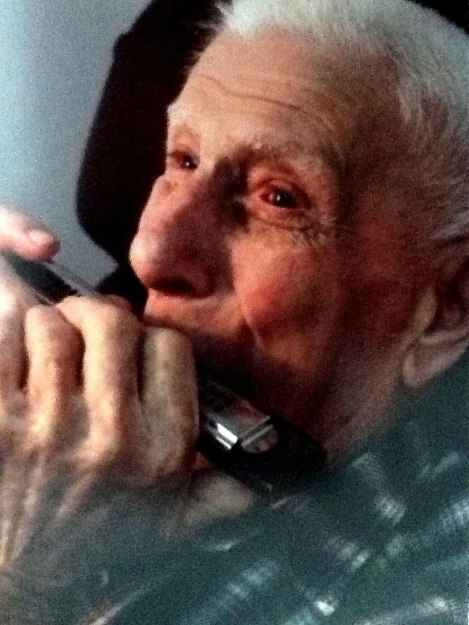  | Arquivo da família