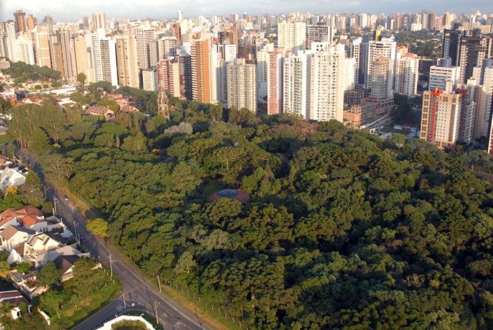 Bosque da Copel pode virar unidade de preservação | Divulgação / Copel