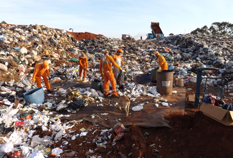 Campanha quase triplicou separação de recicláveis | Divulgação/Prefeitura de Paranavaí