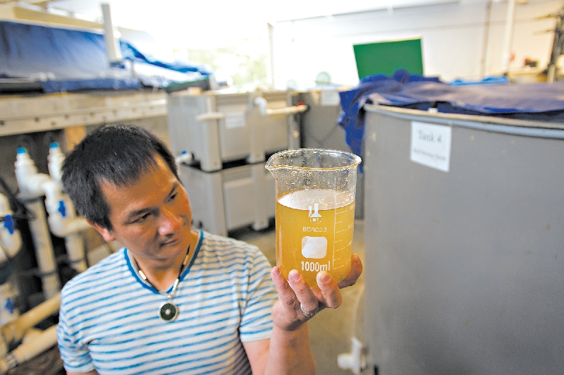 | gretchen ertl PARA The New York Times