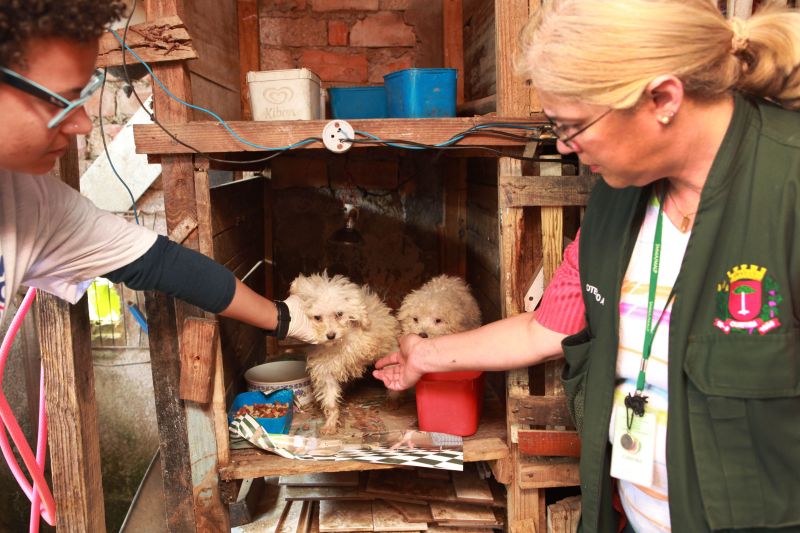 | Cesar Brustolin/SMCS