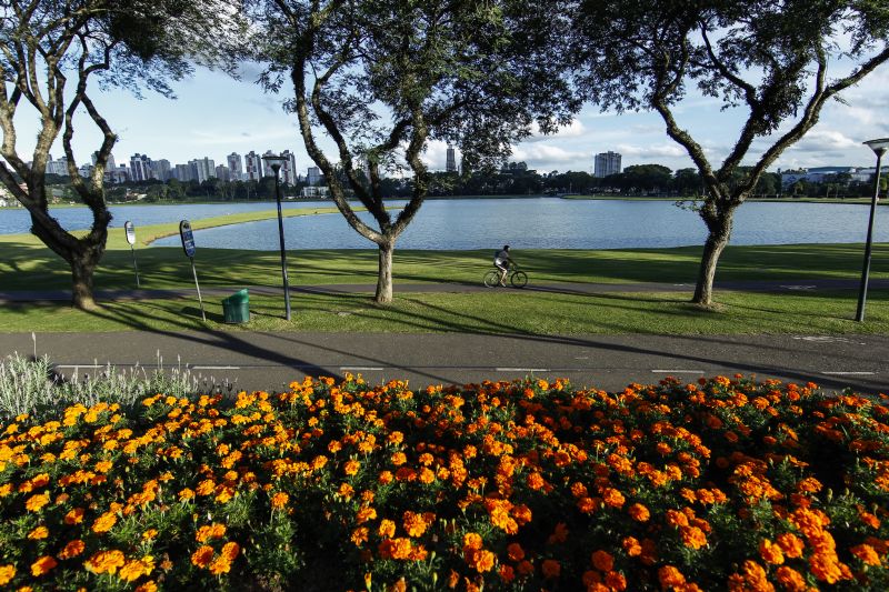 | Daniel Castellano/ Agência de Notícias Gazeta do Povo