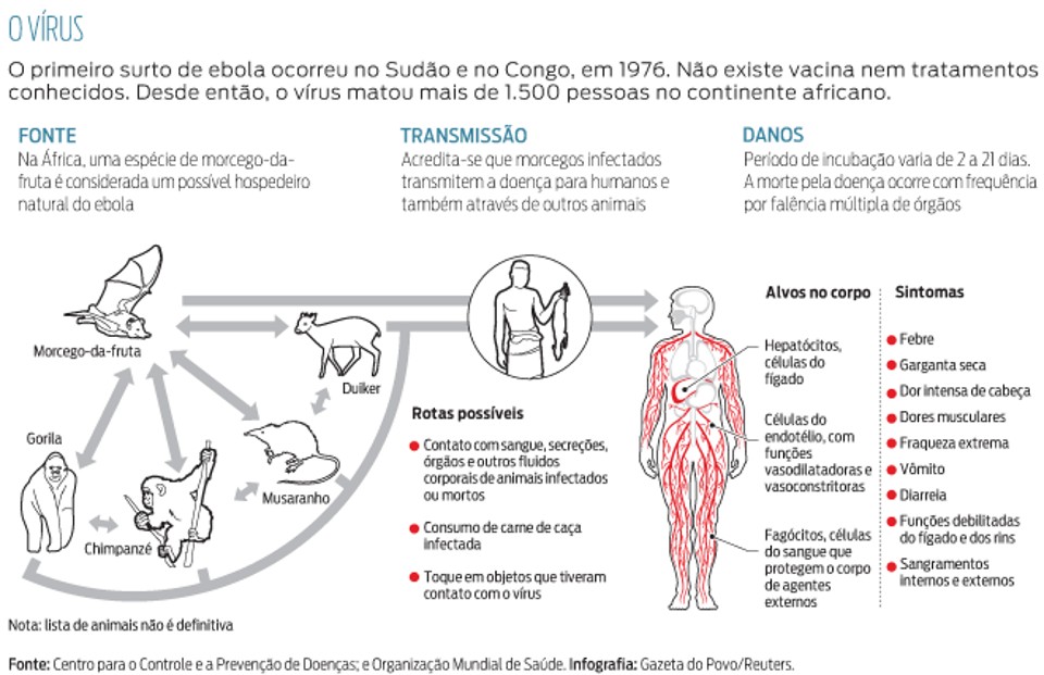Ebola mata dezenas na África |