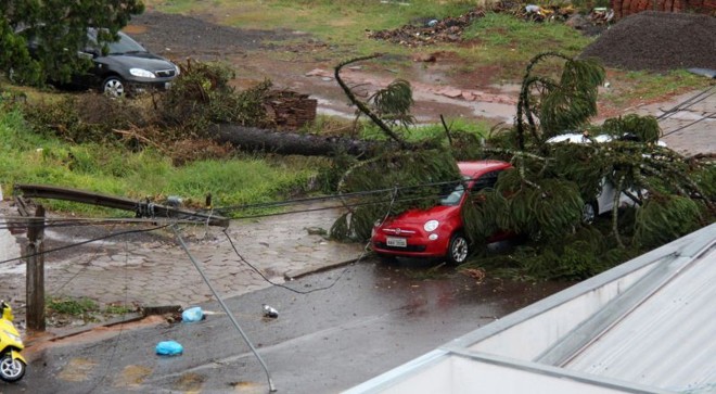 Árvore atingiu carros e a rede elétrica, em Francisco Beltrão |