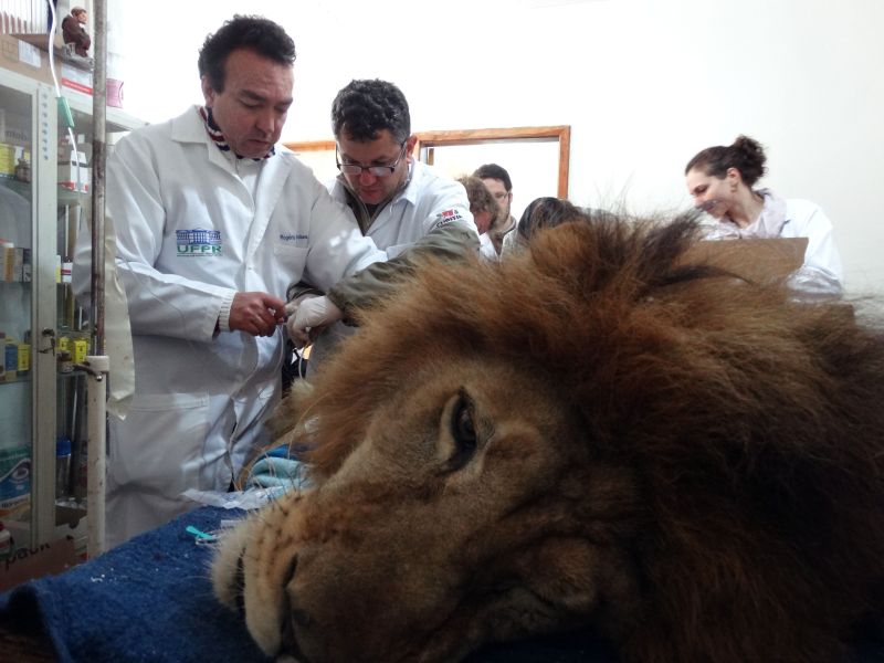 | Divulgação/Prefeitura de Curitiba