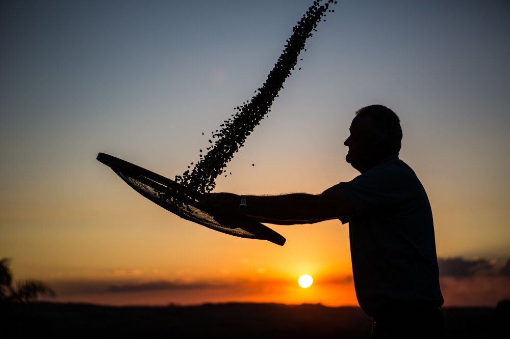 Serão escolhidas nove matérias e reportagens publicadas na Região Sul. | Foto: Brunno Covelo/gazeta Do Povo