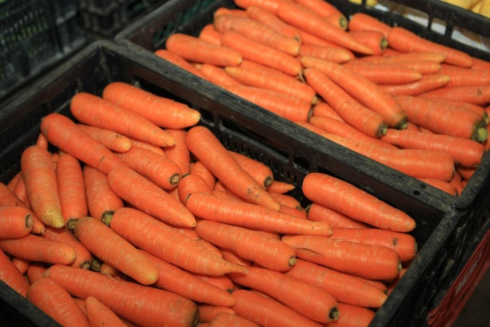 UE vai ressarcir produtores de cenouras, tomates, pimentas, couve-flor, pepinos, maçãs, pêras, frutas silvestres, uvas e kiwis. | Agência Gazeta do Povo/ Aniele Nascimento