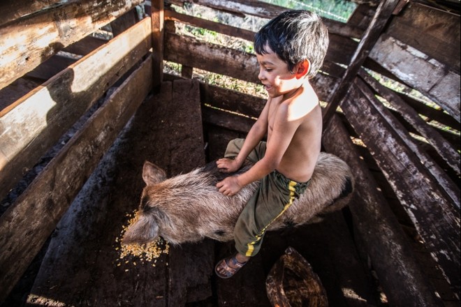Reginaldo, um menino alegre | 