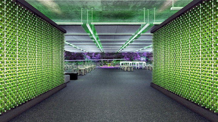 Heineken Glass Room deixa o MON verde em agosto | Divulgação