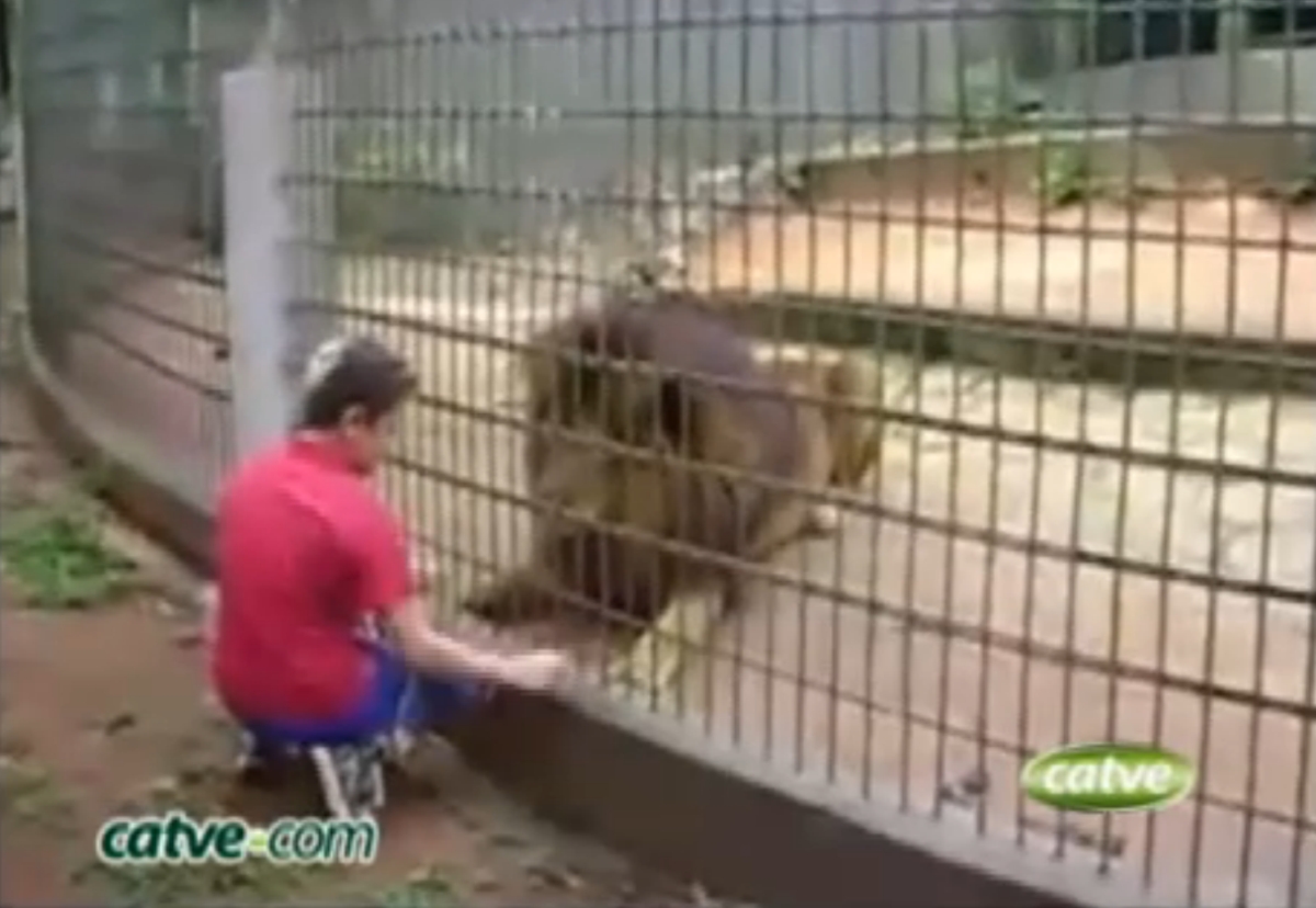 | Reprodução / Internet