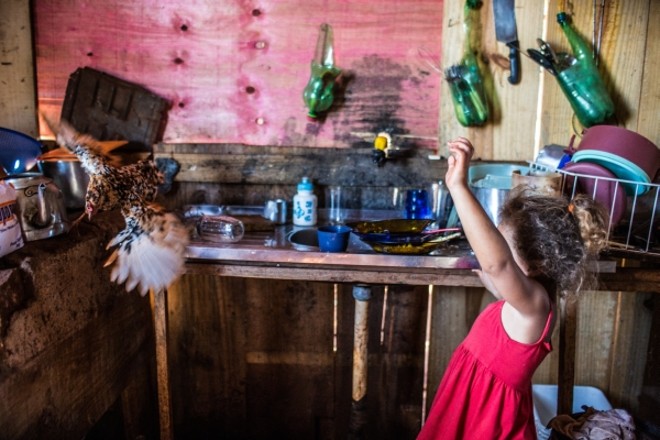 Estefani espanta galinha que estava sobre a pia |