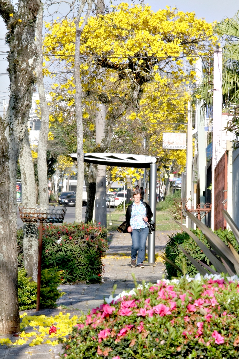 | Aniele Nascimento/ Gazeta do Povo