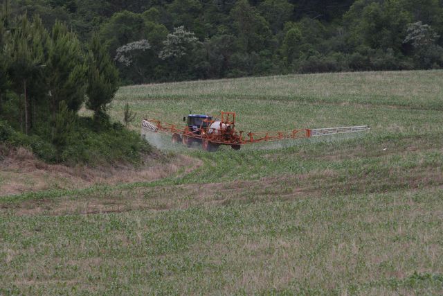 Pulverizações aumentam por dificuldade no controle de insetos | Jonathan Campos/gazeta Doapovo