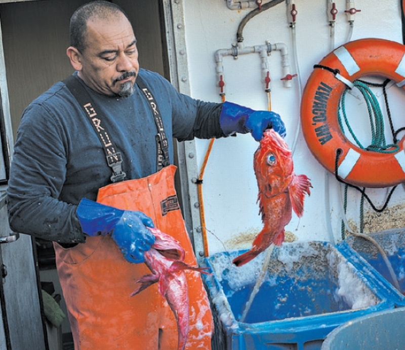 | Matt Black PARA The New York Times