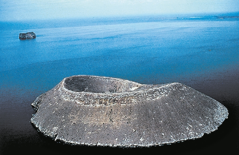 Casal britânico passou 40 anos estudando tentilhões na Dafne Menor, incluindo a Grande Ave, no alto | D. Parer and E. Parer-Cook