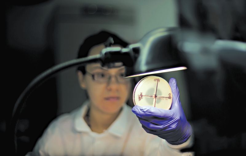 O desenvolvimento de antibióticos tem sido muito mais lento que a proliferação de bactérias nocivas | David Goldman/Associated Press