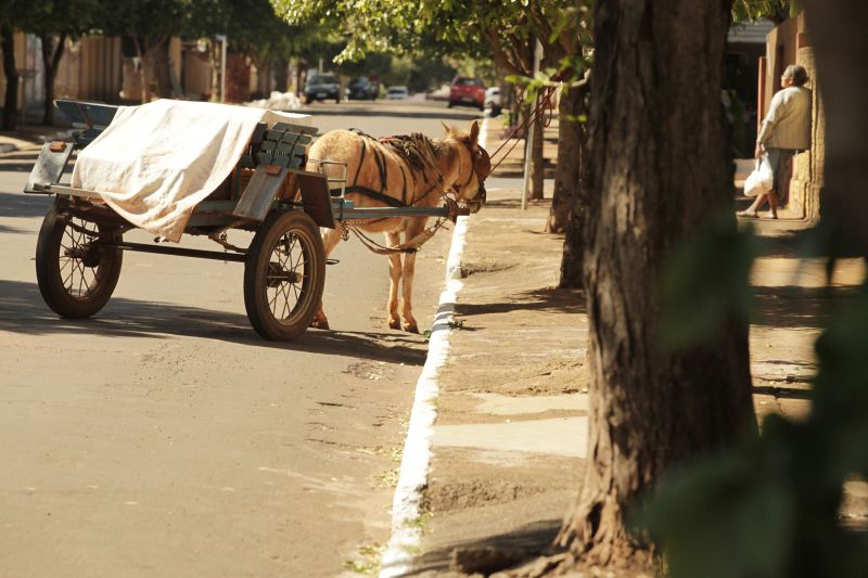 Cena do cotidiano de Flórida, cidade do Norte do Paraná onde as maiores ocorrências policiais são furtos e brigas de família | Walter Fernandes/ Gazeta do Povo