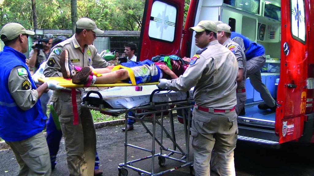 Garoto sendo socorrido após o incidente com o tigre | Mateus Barbieri - Jornal Hoje / Cascavel