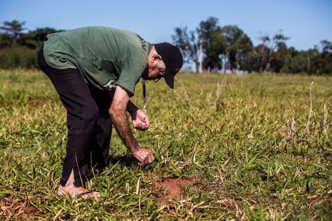 Odilon, morador de Inajá, coleta formigas para fazer uma foto | 