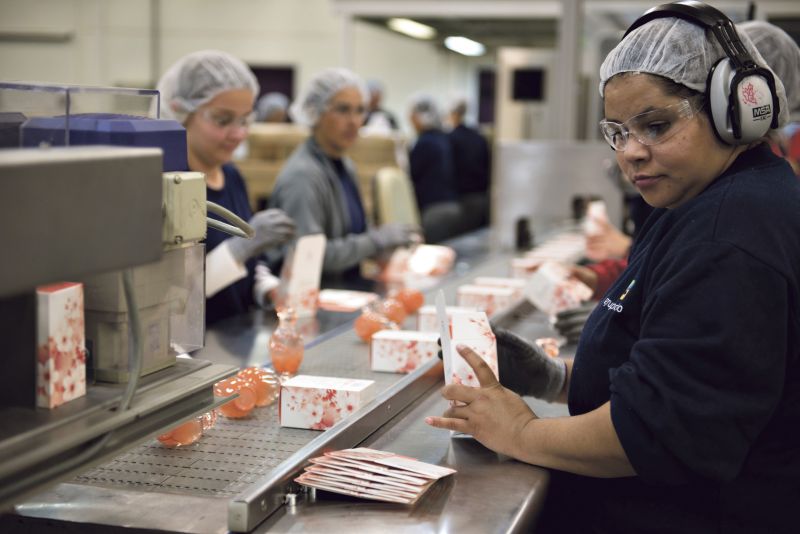 Boticário pretende fechar o ano com 3,9 mil pontos de venda no varejo | Henry Milleo/ Gazeta do Povo
