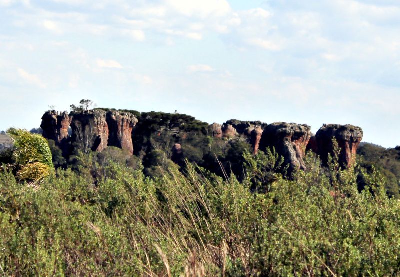 A queima de espécies invasoras é uma forma de recuperar os ecossistemas do parque | Luciano Mendes/ Gazeta do Povo