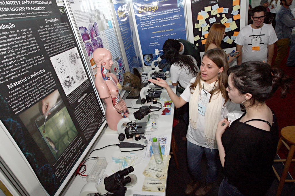 | Felipe Rosa / Arquivo / Gazeta do Povo