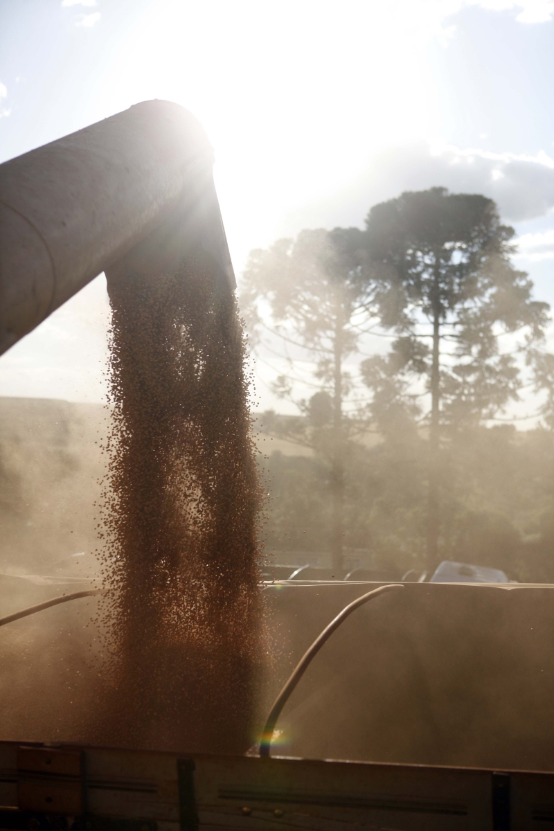 Agricultura está entre os setores mapeados no estado | Jonathan Campos / Gazeta Do Povo