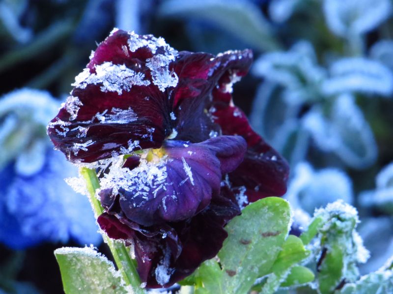 | Marleno Farias/Prefeitura de Urupema