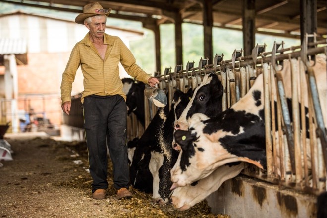 David Natal Ambrósio (69), agricultor em Chopinzinho |
