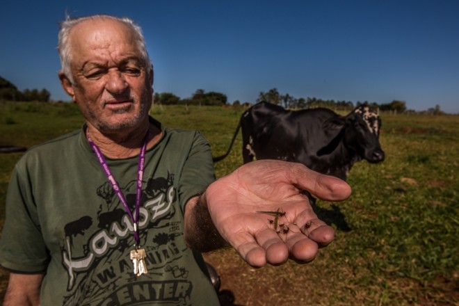 O agricultor e as cortadeiras na mão | 