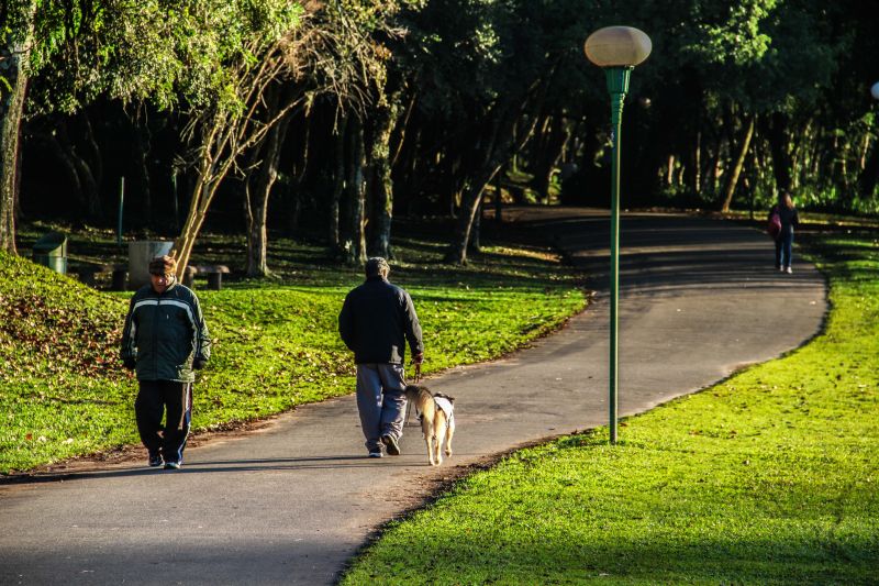 Apesar do frio, sol aparece em todas as regiões do PR nesta quarta-feira (27) | Daniel Castellano/ Agência de Notícias Gazeta do Povo