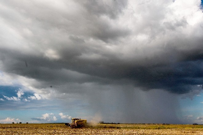 Atividade de alto risco tem custo cada vez maior, o que força o produtor a buscar algum tipo de segurança | 