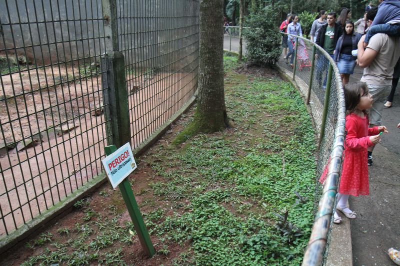 Zoo de Cascavel, onde ocorreu o ataque, tem grade e guarda-corpo separando animais de visitantes | Mateus Barbieri/Jornal Hoje