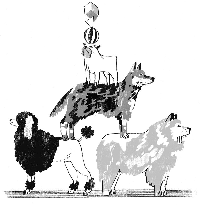 | Ilustração: Felipe Lima