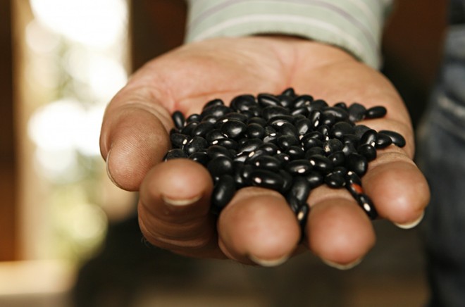 Desvalorização do produto tem dado prejuízo aos produtores rurais. | Foto: Josua© Teixeira/gazesta Do Povo