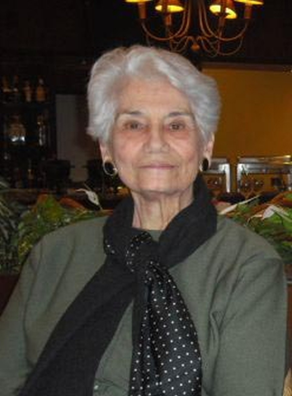  | Arquivo da família