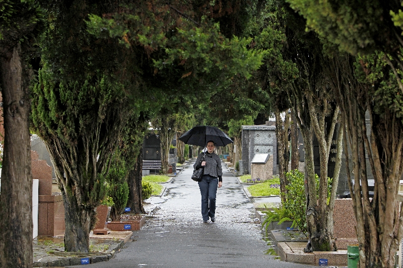 A pesquisadora Clarissa Grassi no seu ambiente de pesquisa: estudo sobre o São Francisco de Paula já dura 11 anos | Antônio More/Gazeta do Povo