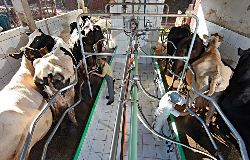 | Albari Rosa/ Gazeta do Povo