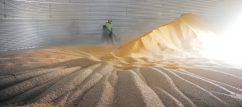 | Fotografias de Dan Koeck para The New York Times