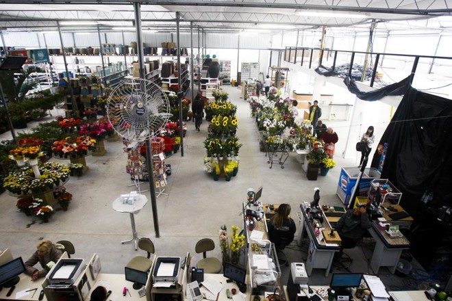 Após ampliação, loja da Esalflores terá um café e lago com peixes. |