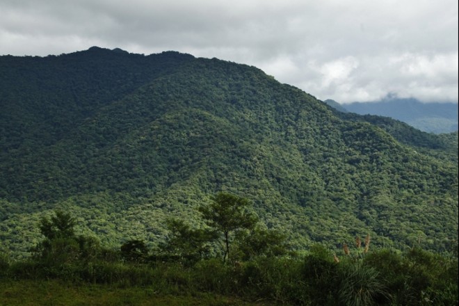 Serra do Mar, no Paraná: preservação da Mata Atlântica pode ser ampliada com pagamento aos proprietários de áreas rurais |