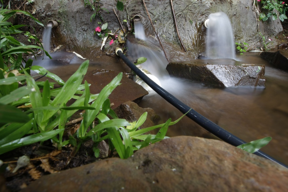 Fonte de água recuperada na região de Cascavel. Projeto transforma banhado em nascente. | Jonathan Campos/gazeta Do Povo