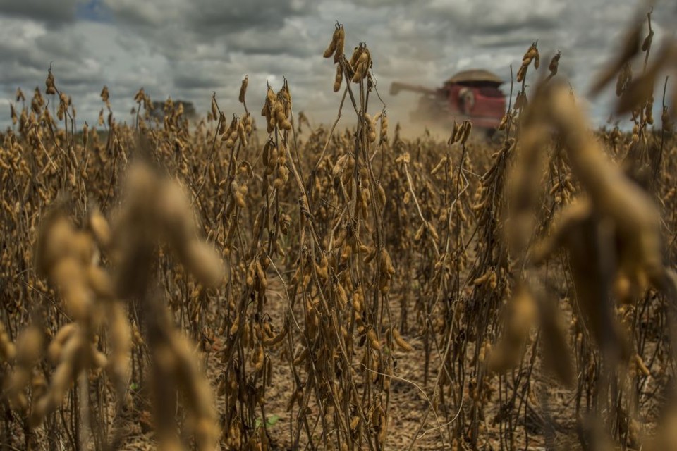 Em agosto, soja subiu de -5,60% para 0,26%. | Agência Gazeta do Povo/ Marcelo Andrade