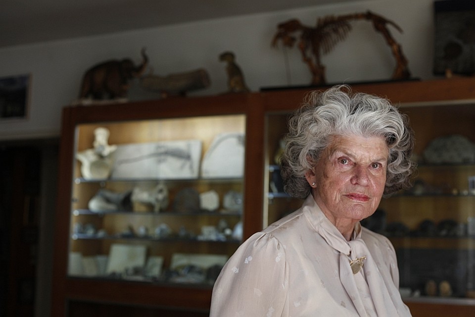 Após a morte de Guido, Ragnhild iniciou uma aventura solitária para preservar o acervo do marido | Jonathan Campos/Gazeta do Povo