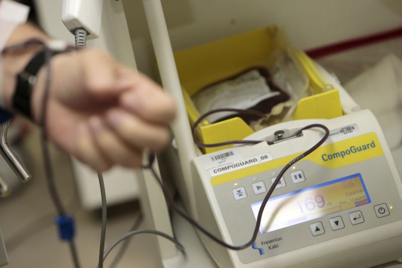 Festejo do casamento terá doação de sangue no sábado | César Machado/Gazeta do Povo